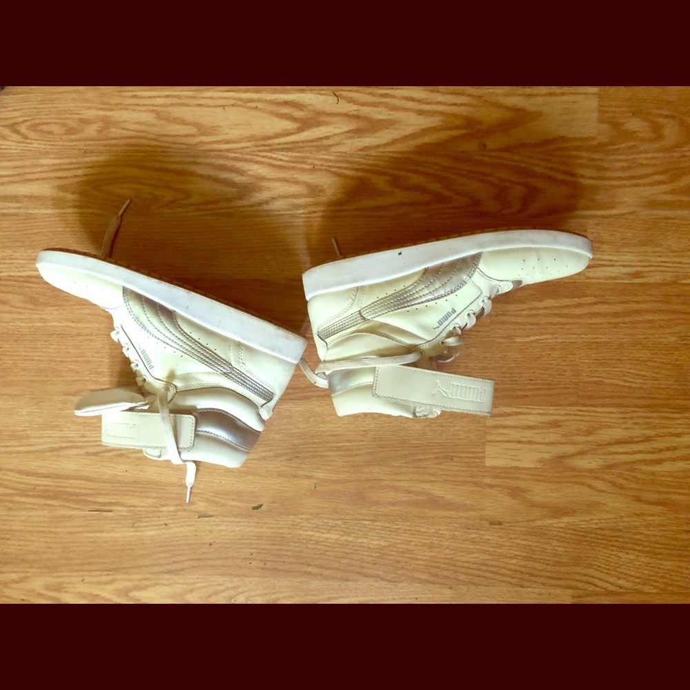 Authentic puma